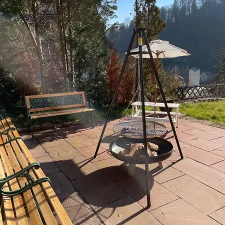Familienglueck Im Schwarzwaldhaus Mit Schlossblick Neuenburg  Extérieur photo