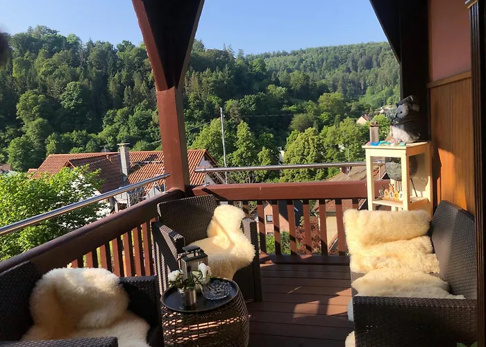 Familienglueck Im Schwarzwaldhaus Mit Schlossblick