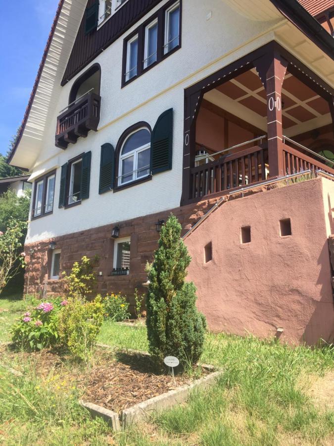 Familienglueck Im Schwarzwaldhaus Mit Schlossblick